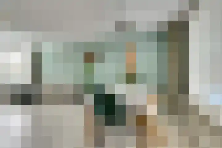 Zwetburgh 52 De Lier thumbnail 11