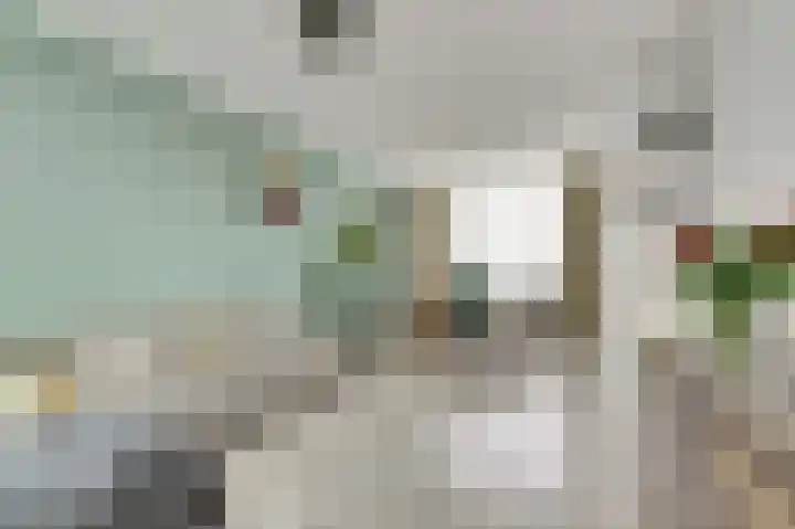 Zwetburgh 52 De Lier thumbnail 12