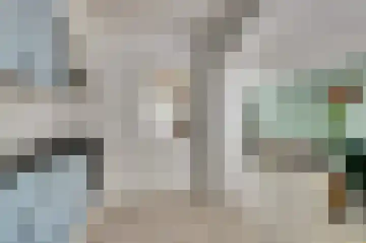 Zwetburgh 52 De Lier thumbnail 14