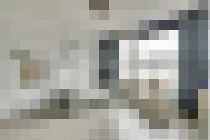 Zwetburgh 52 De Lier thumbnail 22