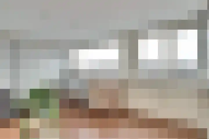 Zwetburgh 52 De Lier thumbnail 27