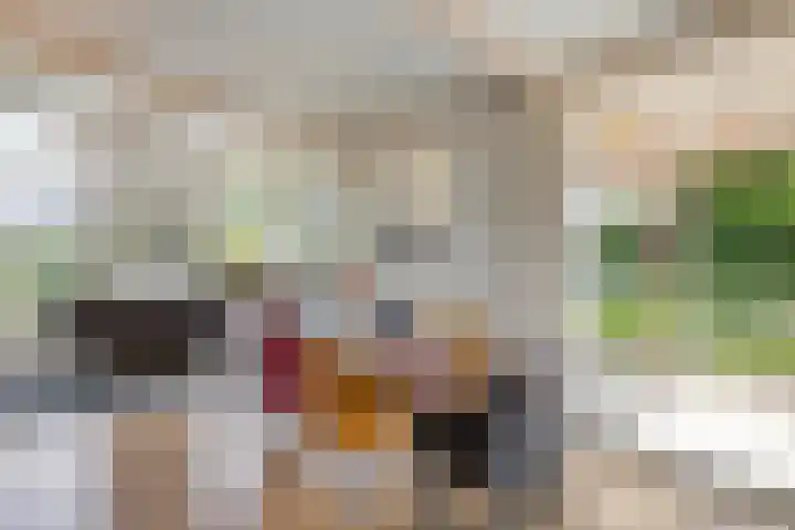 Zweurnink 71 Heeten thumbnail 10