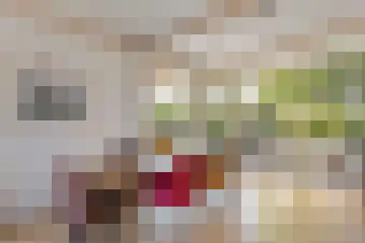 Zweurnink 71 Heeten thumbnail 11