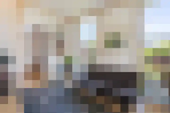 Zweurnink 71 Heeten thumbnail 12