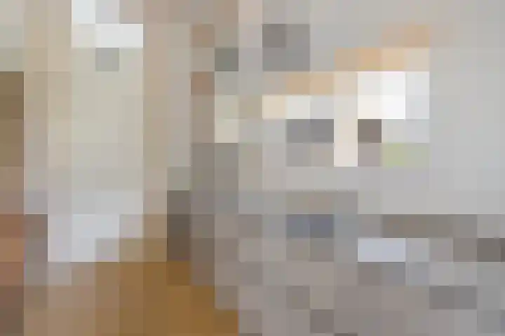 Zweurnink 71 Heeten thumbnail 13