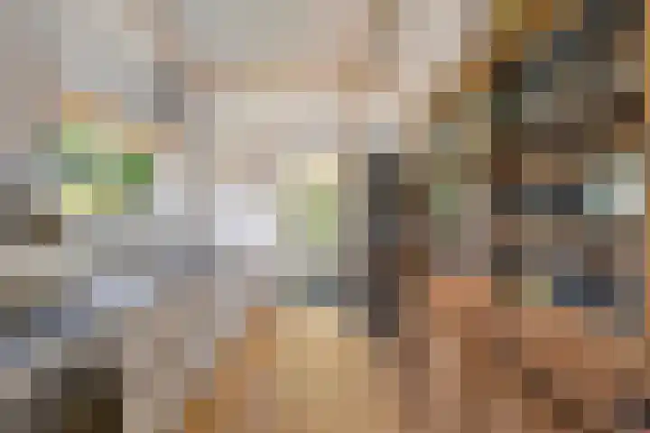 Zweurnink 71 Heeten thumbnail 14