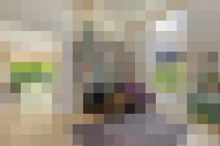 Zweurnink 71 Heeten thumbnail 15