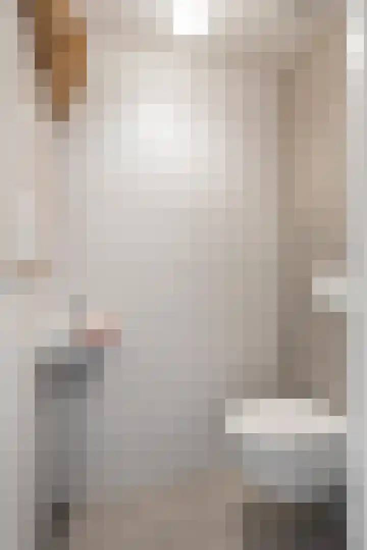 Zweurnink 71 Heeten thumbnail 19