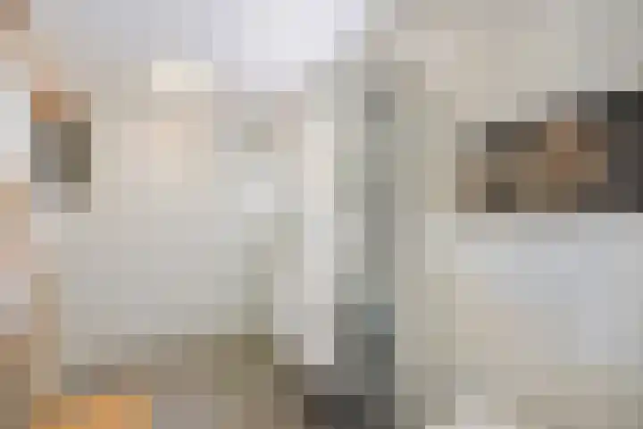 Zweurnink 71 Heeten thumbnail 21