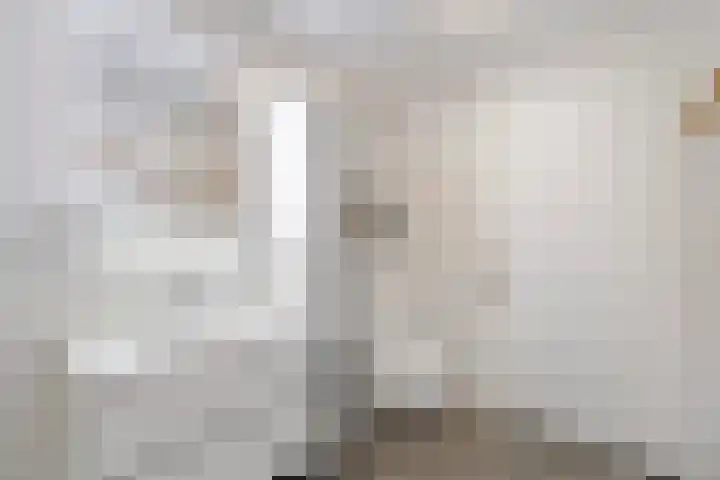 Zweurnink 71 Heeten thumbnail 22
