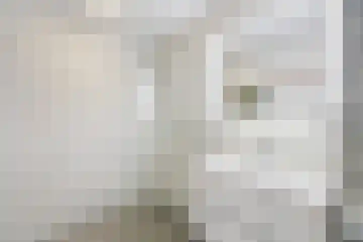 Zweurnink 71 Heeten thumbnail 23