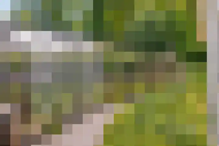 Zweurnink 71 Heeten thumbnail 28