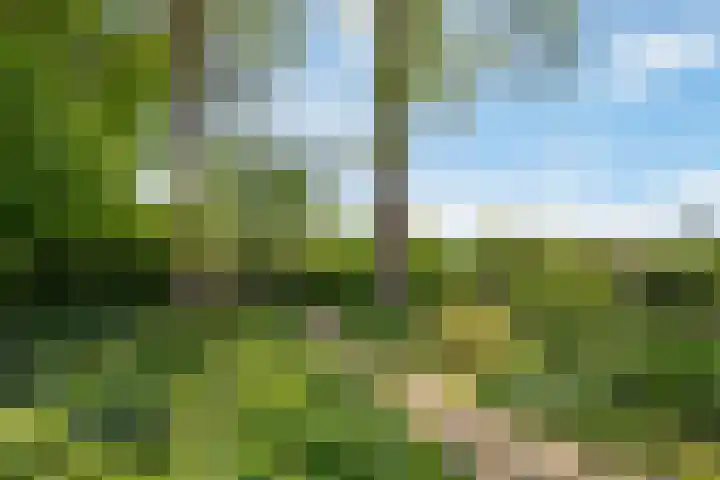 Zweurnink 71 Heeten thumbnail 30