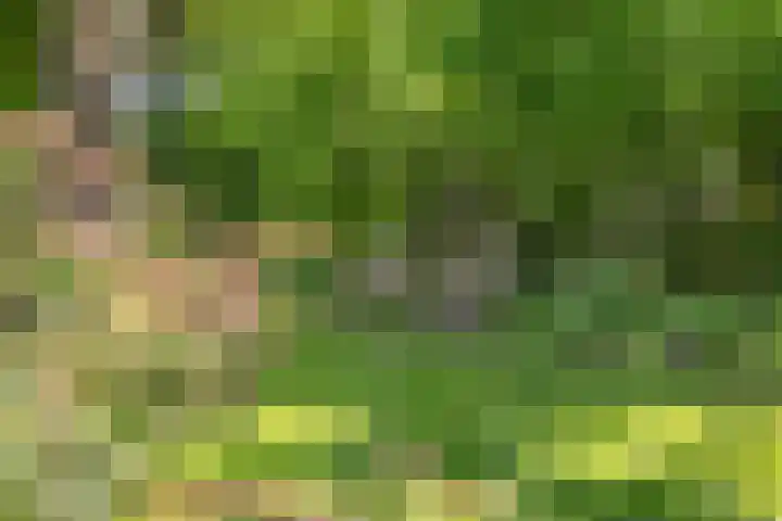 Zweurnink 71 Heeten thumbnail 31