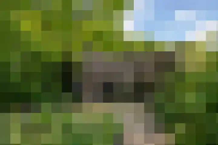 Zweurnink 71 Heeten thumbnail 32