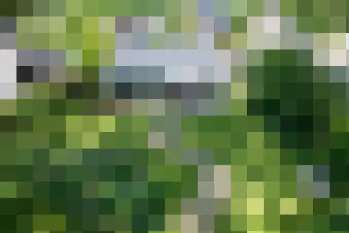 Zweurnink 71 Heeten thumbnail 33