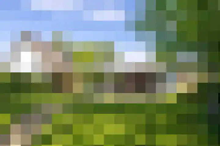 Zweurnink 71 Heeten thumbnail 34