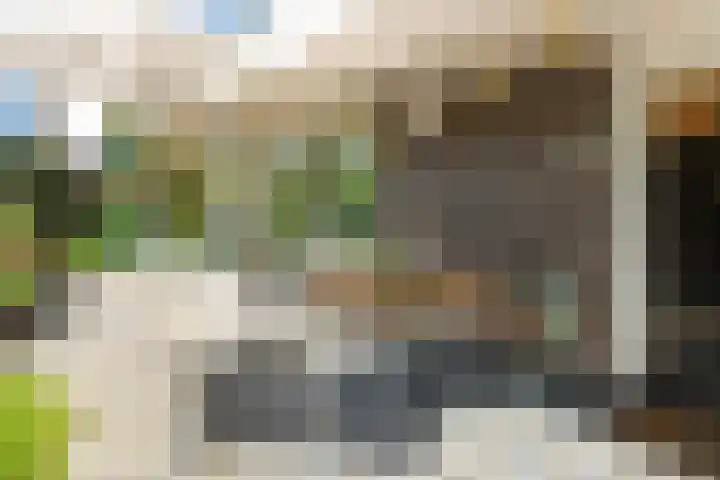 Zweurnink 71 Heeten thumbnail 35