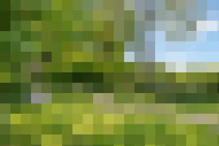 Zweurnink 71 Heeten thumbnail 36