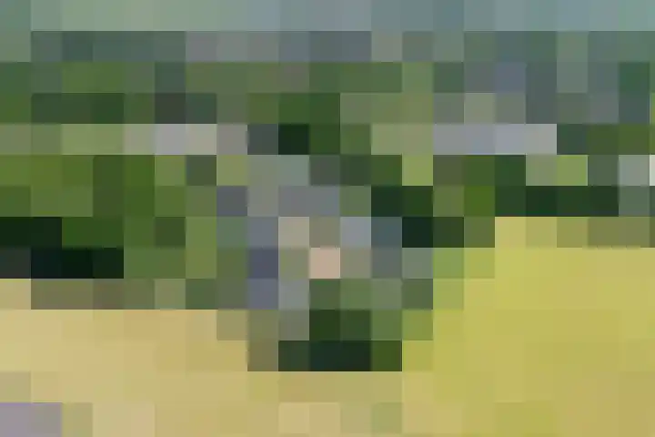 Zweurnink 71 Heeten thumbnail 37