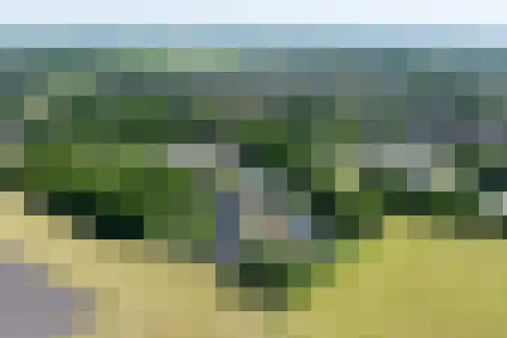 Zweurnink 71 Heeten thumbnail 4
