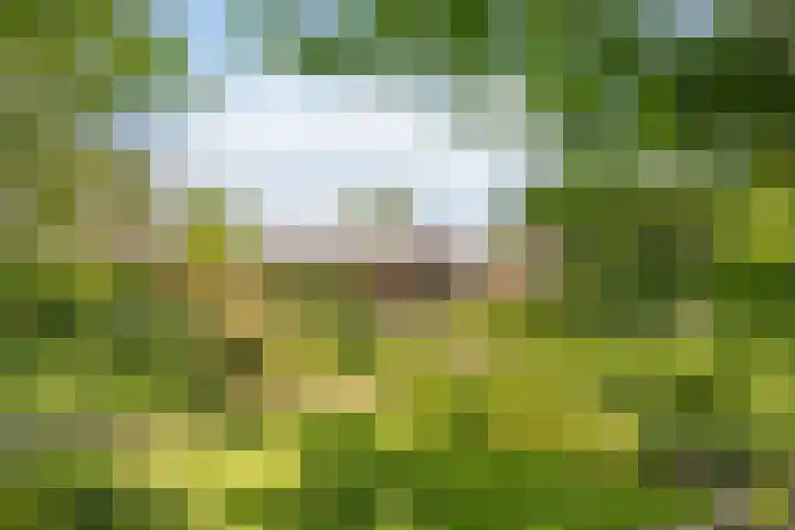 Zweurnink 71 Heeten thumbnail 5