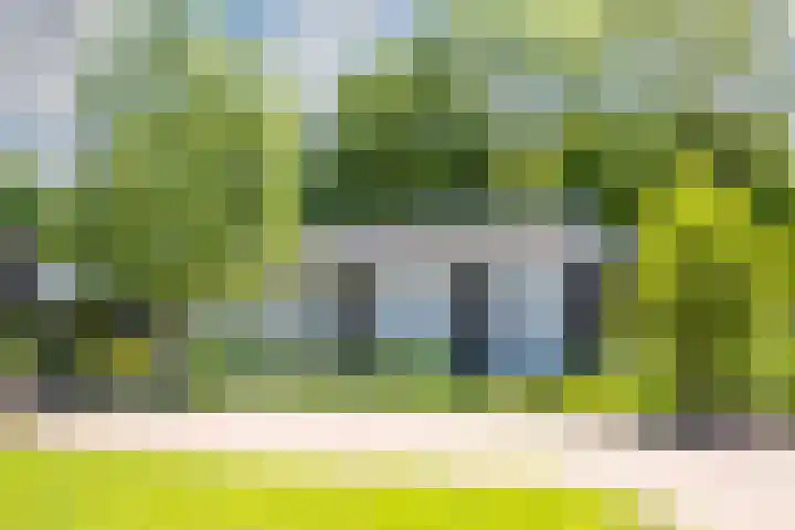 Zweurnink 71 Heeten thumbnail 7