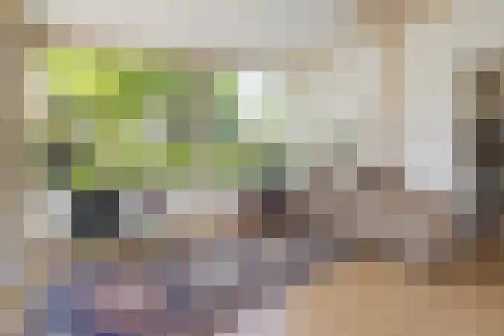 Zweurnink 71 Heeten thumbnail 8