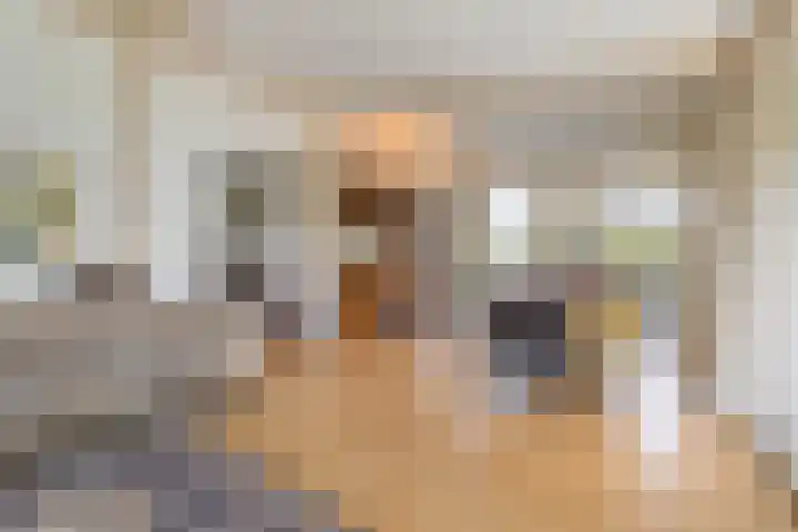 Zweurnink 71 Heeten thumbnail 9