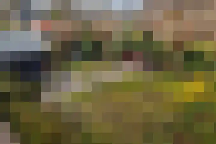 Zwiggelterstraat 1 Westerbork thumbnail 30