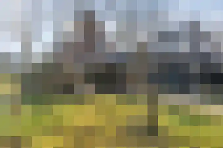 Zwiggelterstraat 1 Westerbork thumbnail 31