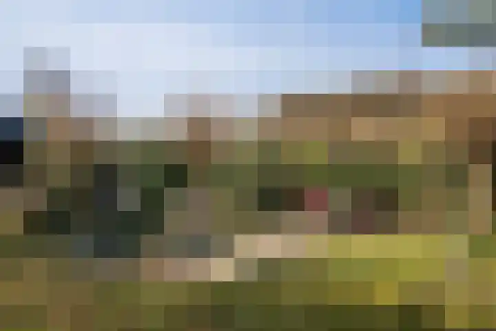 Zwiggelterstraat 1 Westerbork thumbnail 32