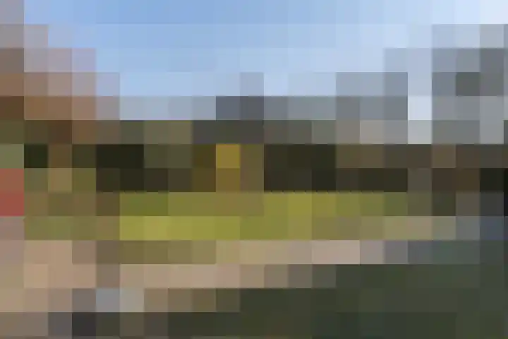 Zwiggelterstraat 1 Westerbork thumbnail 34