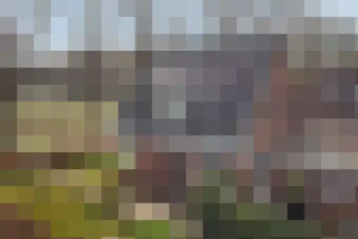 Zwiggelterstraat 1 Westerbork thumbnail 38