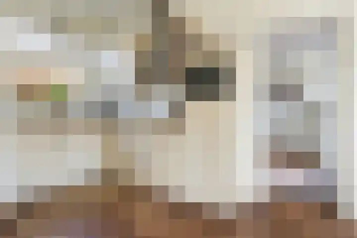 Zwiggelterstraat 1 Westerbork thumbnail 4