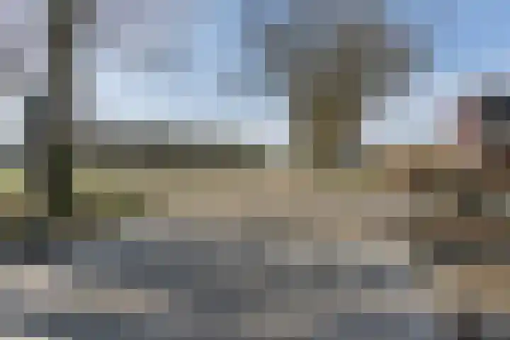 Zwiggelterstraat 1 Westerbork thumbnail 41