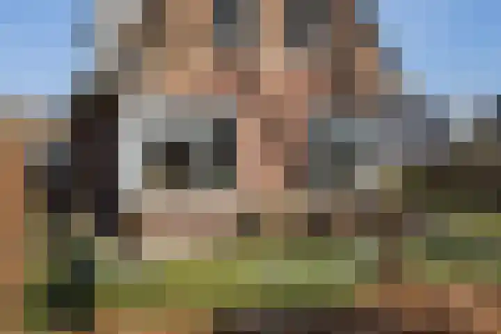Zwiggelterstraat 1 Westerbork thumbnail 42