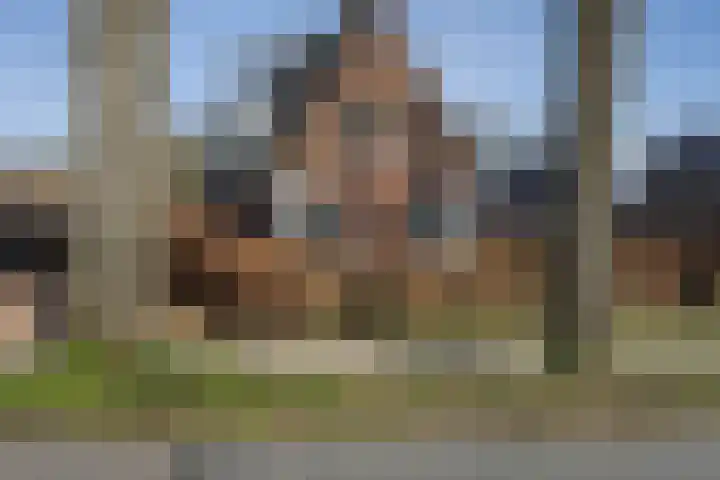 Zwiggelterstraat 1 Westerbork thumbnail 43