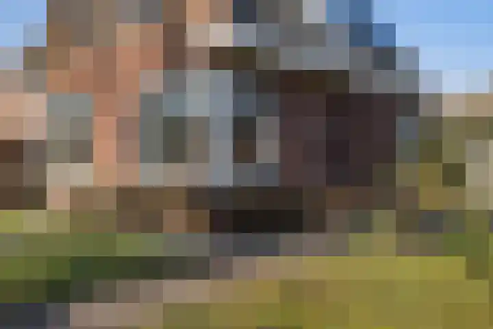 Zwiggelterstraat 1 Westerbork thumbnail 46
