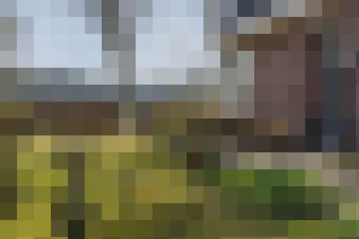 Zwiggelterstraat 1 Westerbork thumbnail 47