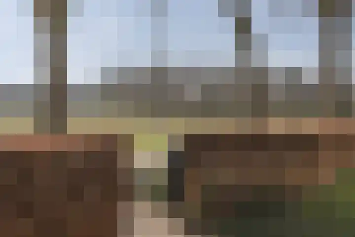 Zwiggelterstraat 1 Westerbork thumbnail 49