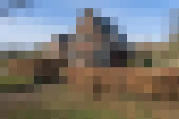 Zwiggelterstraat 1 Westerbork thumbnail 51