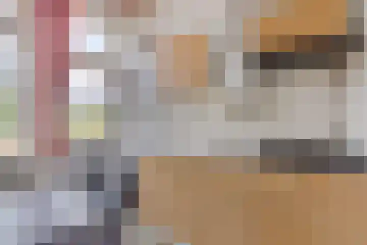 Zwiksweg 7 Enter thumbnail 13