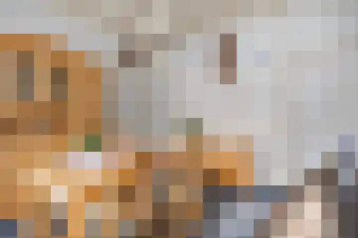 Zwiksweg 7 Enter thumbnail 17