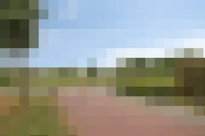 Zwiksweg 7 Enter thumbnail 25