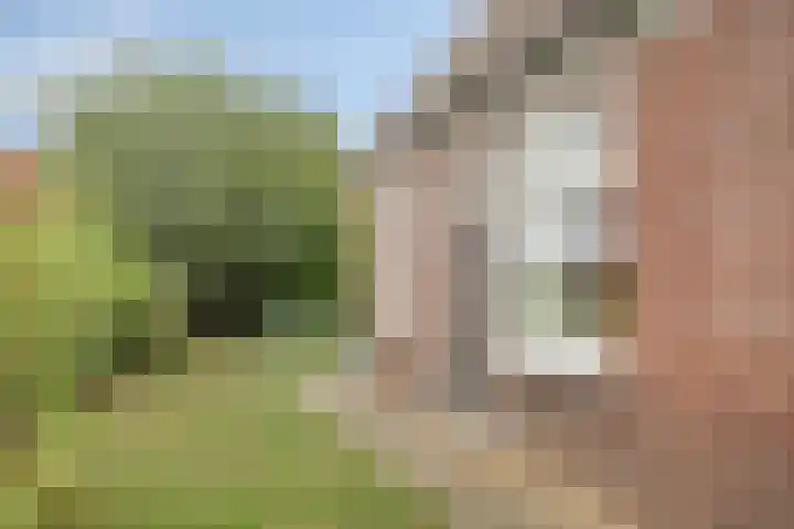 Zwiksweg 7 Enter thumbnail 6