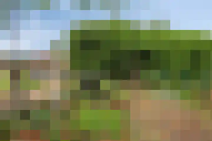 Zwiksweg 7 Enter thumbnail 9