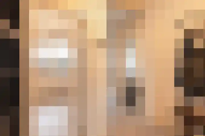 Zwin 3 Assen thumbnail 14