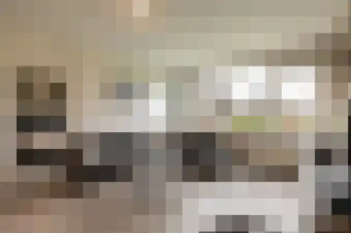 Zwin 3 Assen thumbnail 16
