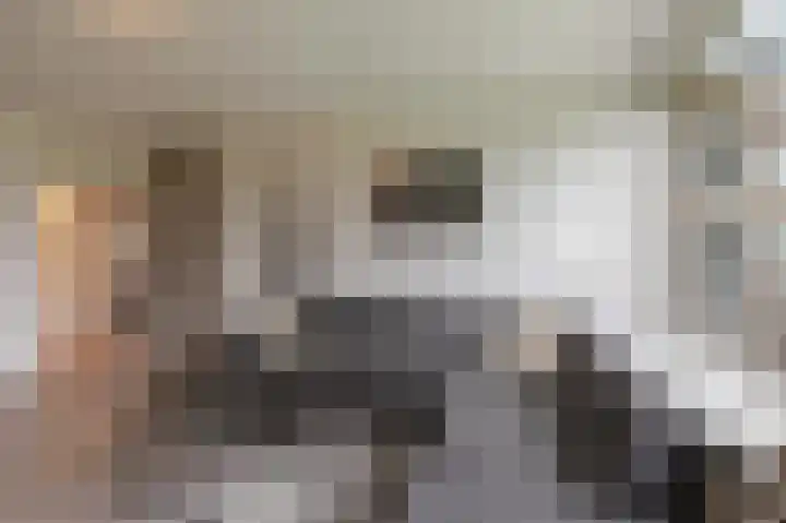 Zwin 3 Assen thumbnail 18